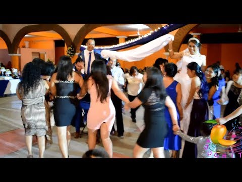 Ritmos para animar la fiesta: Música para bailar la cola de la novia