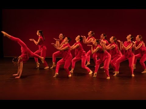 Todo sobre la danza moderna: historia, técnicas y ejemplos